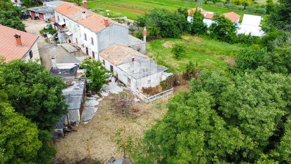 Barban, una casa con potenziale e un ampio giardino! 