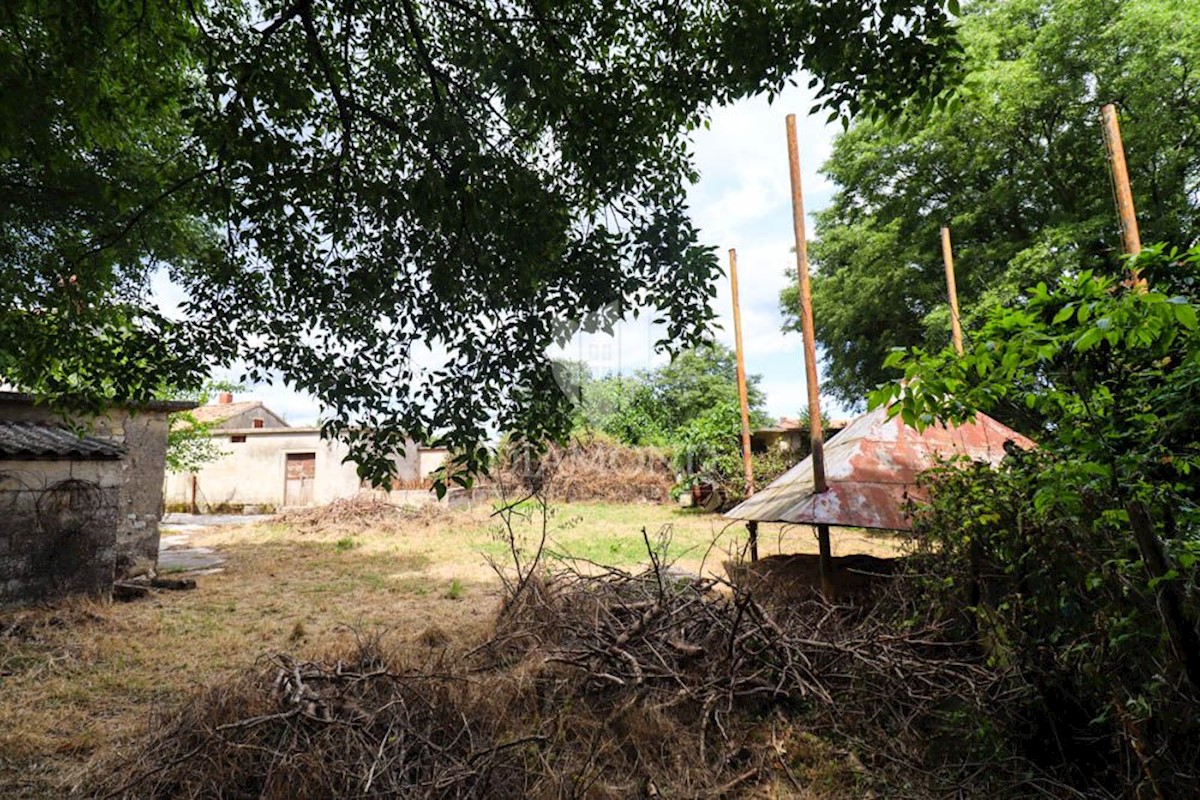 Barban, una casa con potenziale e un ampio giardino! 