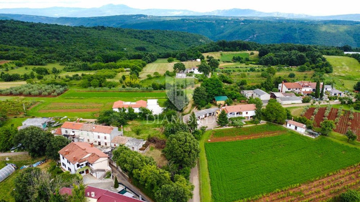 Barban, una casa con potenziale e un ampio giardino! 