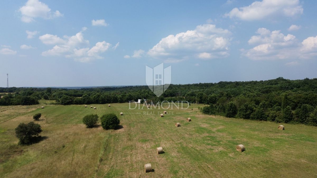 Barban, ampio terreno complesso vicino al mare 