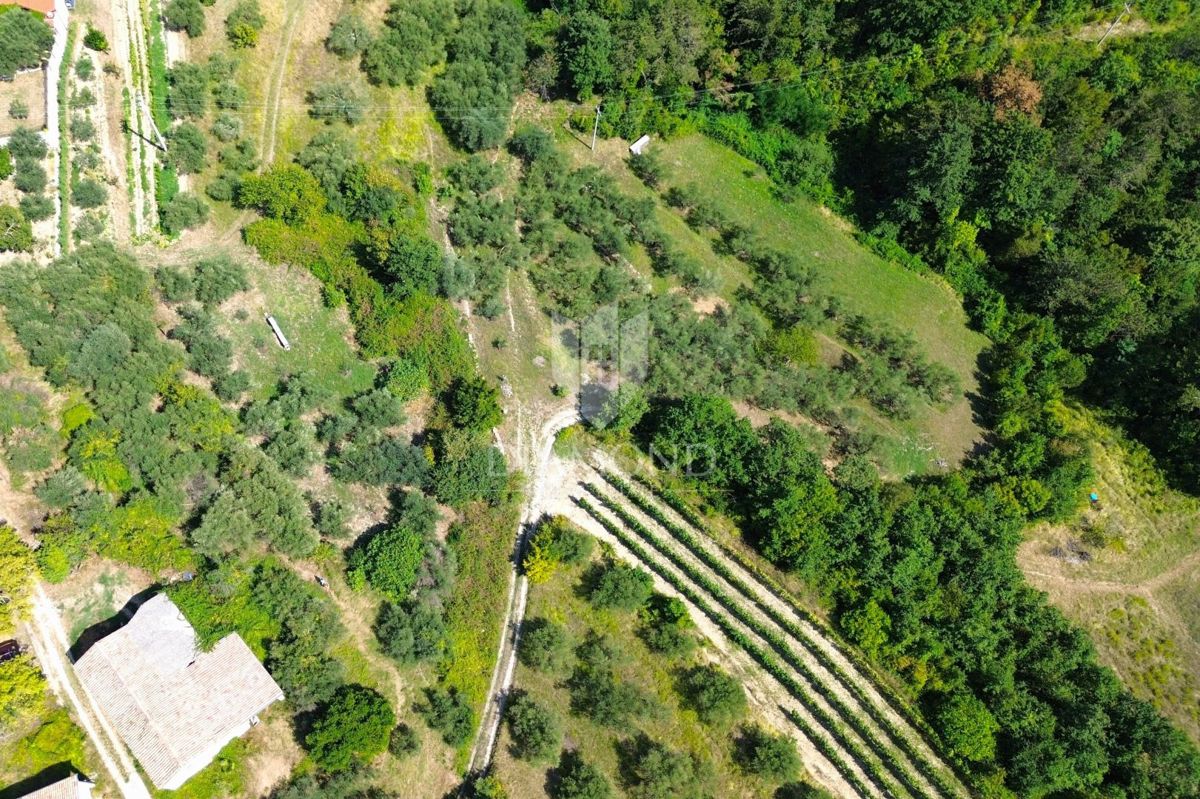 Cerovlje, antica casa in pietra da adattare in una bellissima posizione