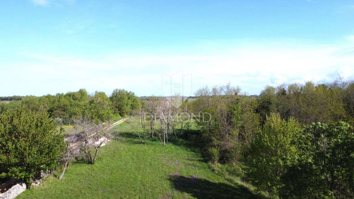 Parenzo – Dintorni – Terreno Edificabile in Splendida Posizione