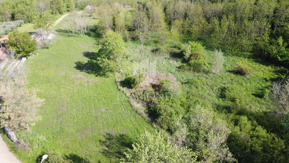 Parenzo – Dintorni – Terreno Edificabile in Splendida Posizione