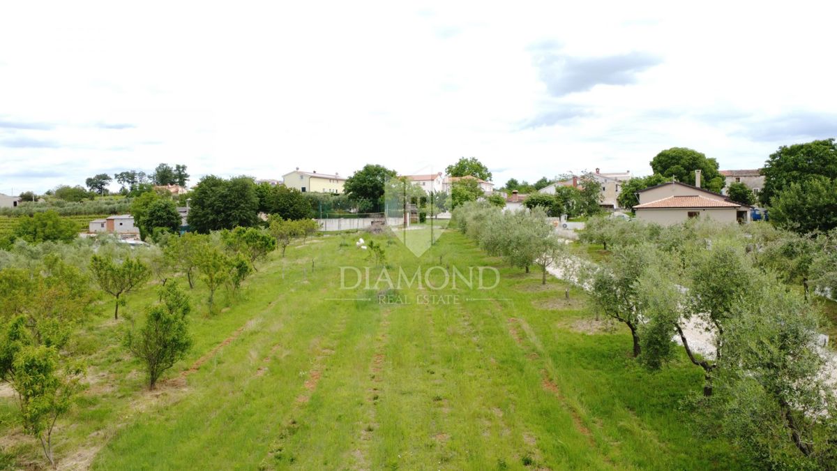 Zona di Parenzo, terreno edificabile ai margini dell'insediamento