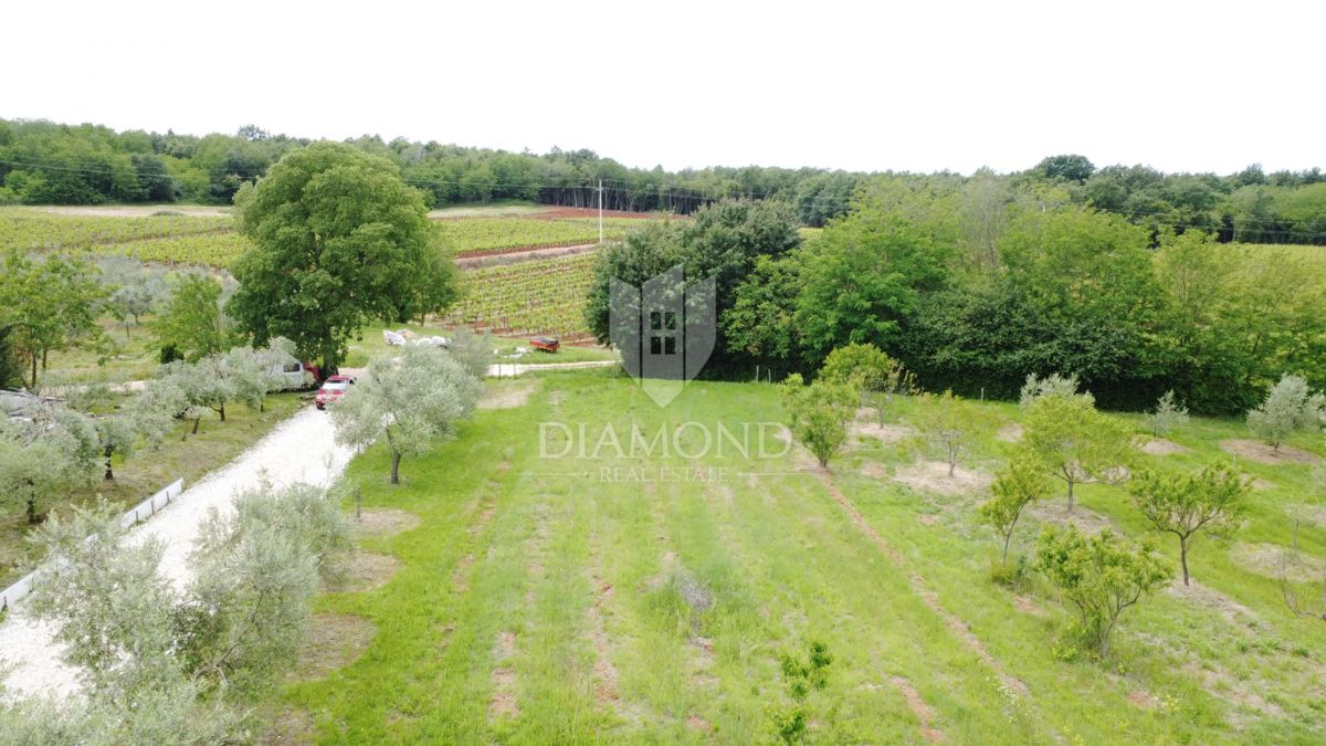 Zona di Parenzo, terreno edificabile ai margini dell'insediamento