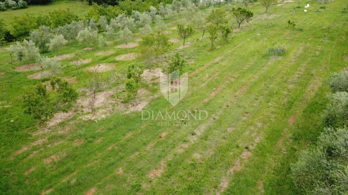 Zona di Parenzo, terreno edificabile ai margini dell'insediamento