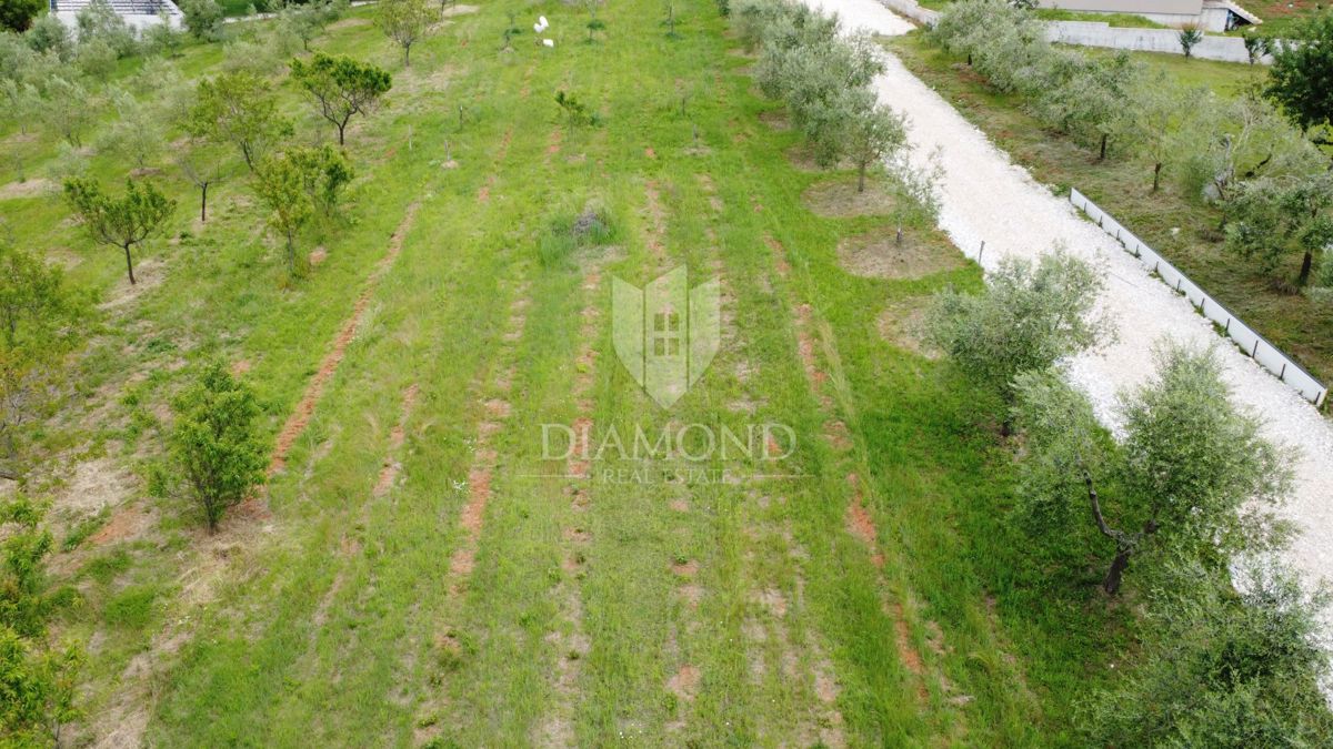 Zona di Parenzo, terreno edificabile ai margini dell'insediamento