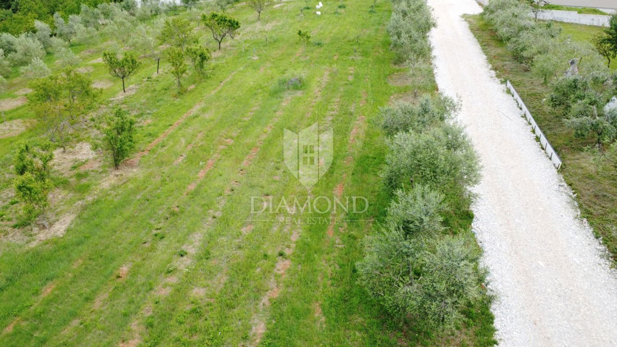 Zona di Parenzo, terreno edificabile ai margini dell'insediamento