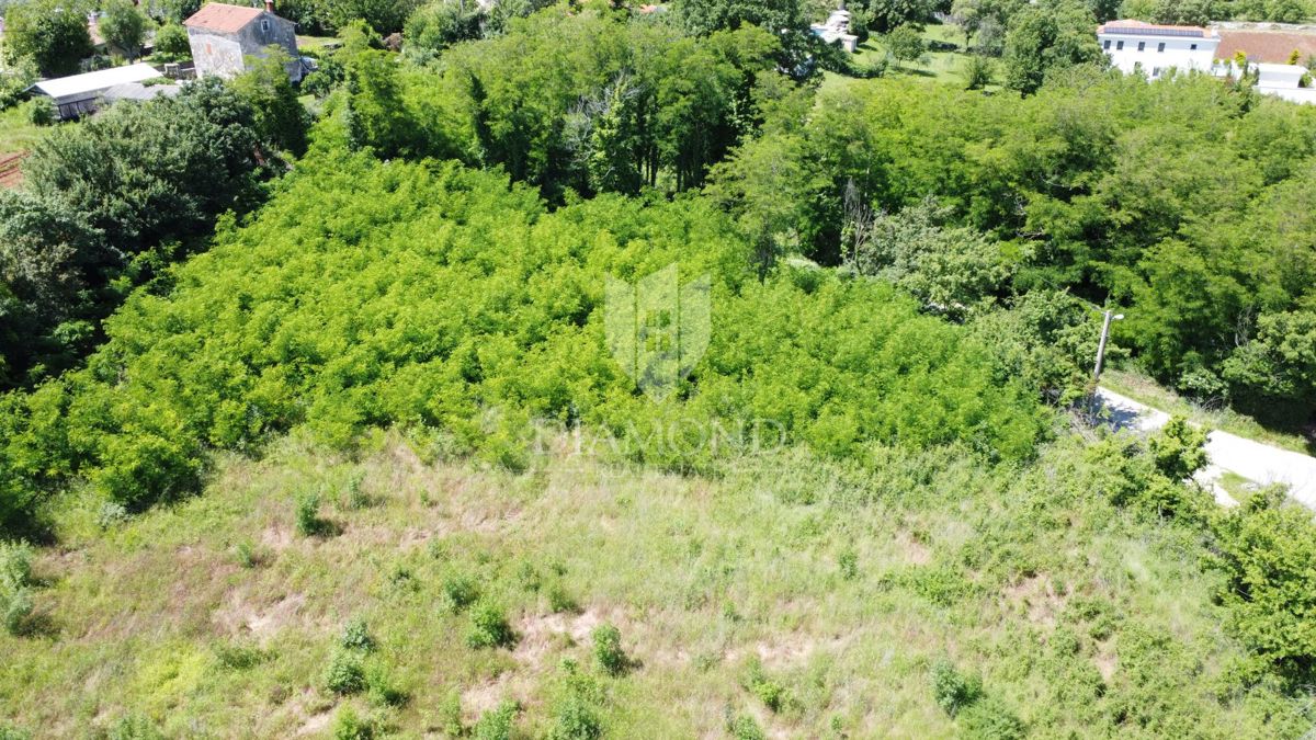 Poreč - Dintorni - Terreno edificabile 937 m² con progetto e permesso