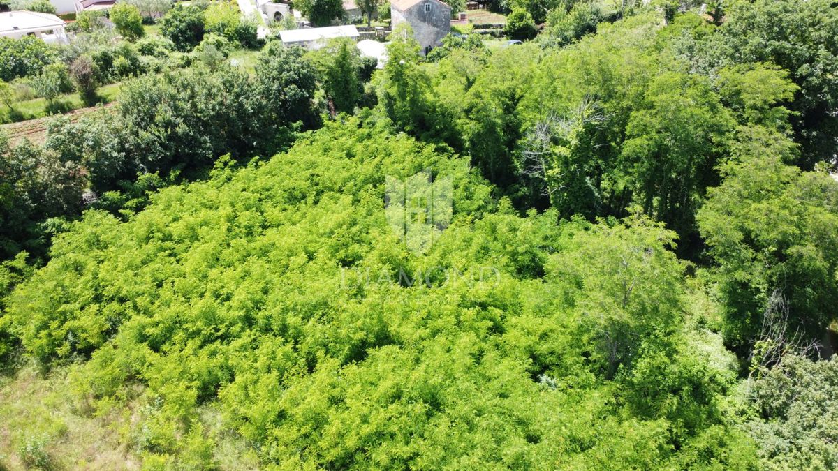 Poreč - Dintorni - Terreno edificabile 937 m² con progetto e permesso