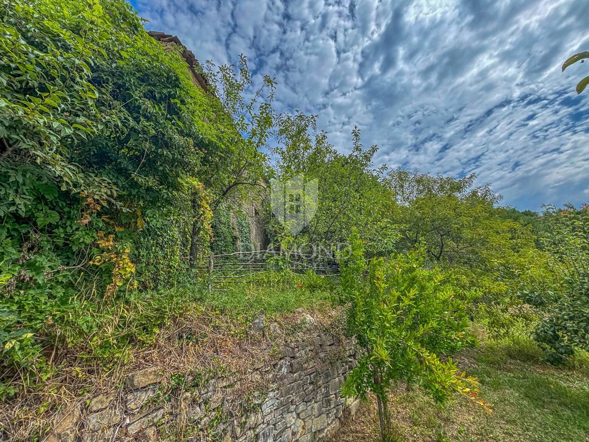 Montona, dintorni - un'antichità con un grande potenziale nel cuore dell'Istria