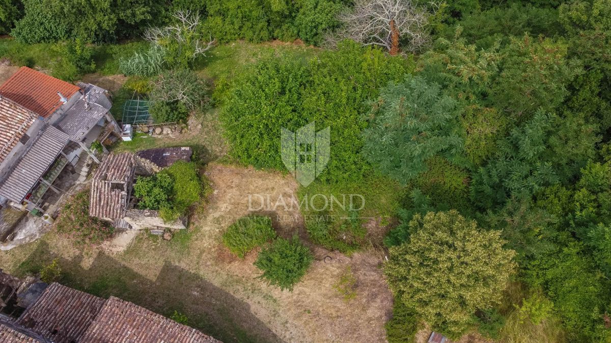 Montona, dintorni - un'antichità con un grande potenziale nel cuore dell'Istria