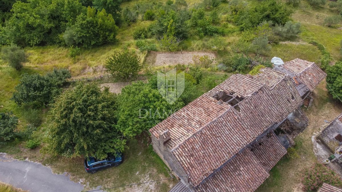 Montona, dintorni - un'antichità con un grande potenziale nel cuore dell'Istria