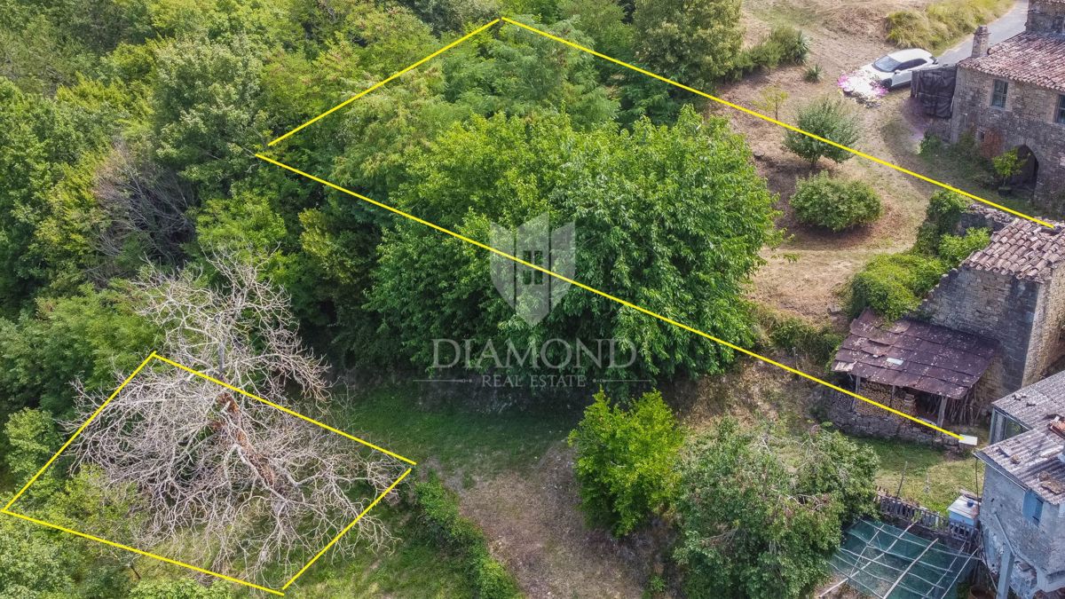 Montona, dintorni - un'antichità con un grande potenziale nel cuore dell'Istria