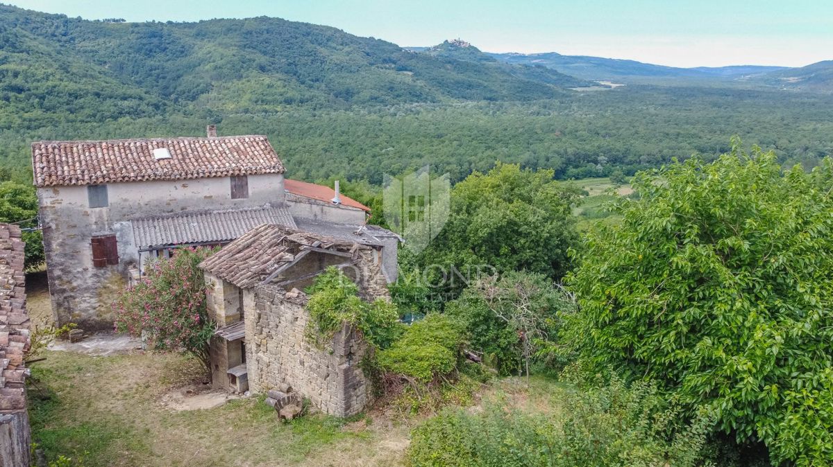 Montona, dintorni - un'antichità con un grande potenziale nel cuore dell'Istria