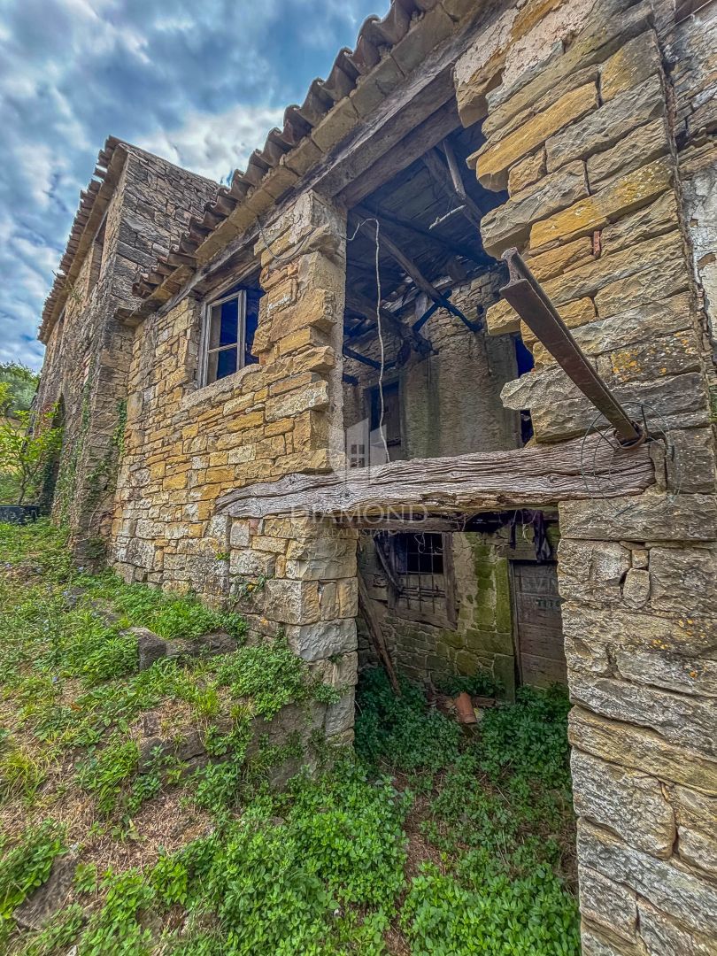 Montona, dintorni - un'antichità con un grande potenziale nel cuore dell'Istria