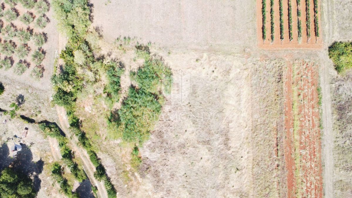 Parenzo, dintorni – ampio terreno ai margini solo 6km dal mare