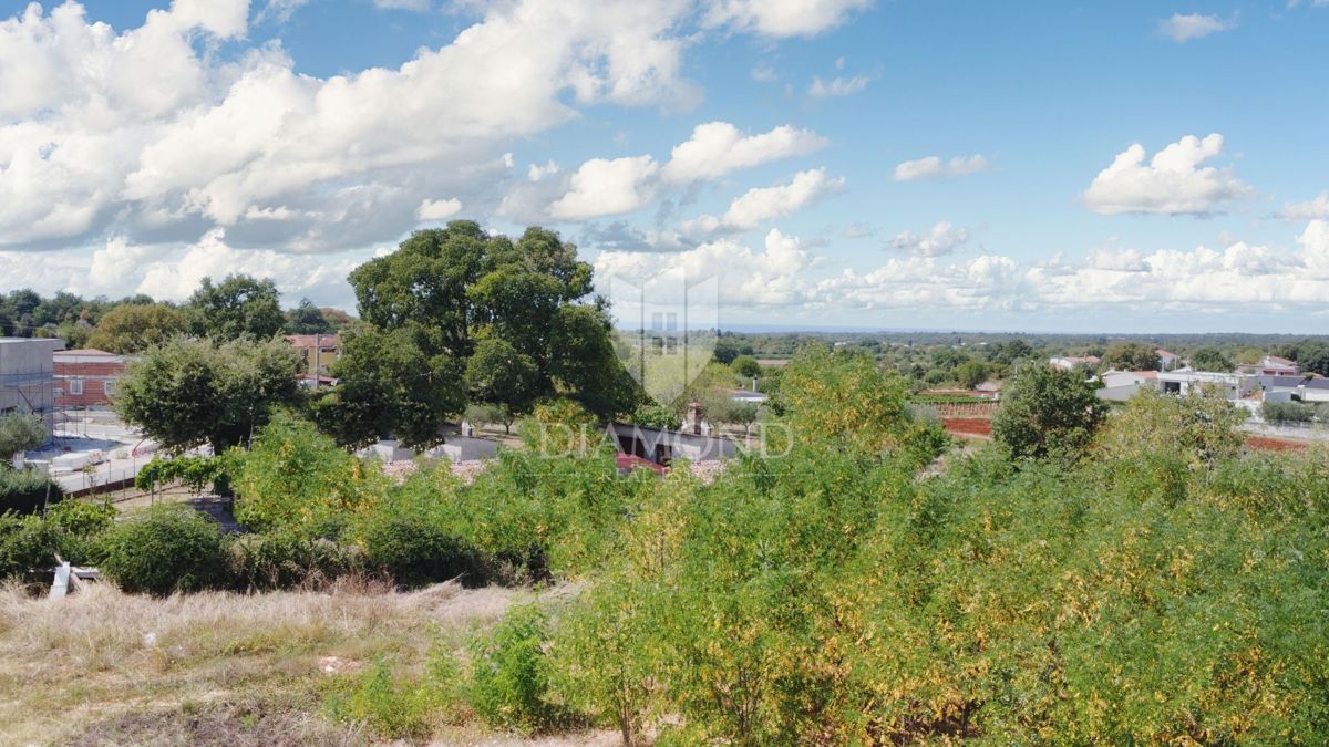 Parenzo, dintorni – ampio terreno ai margini solo 6km dal mare