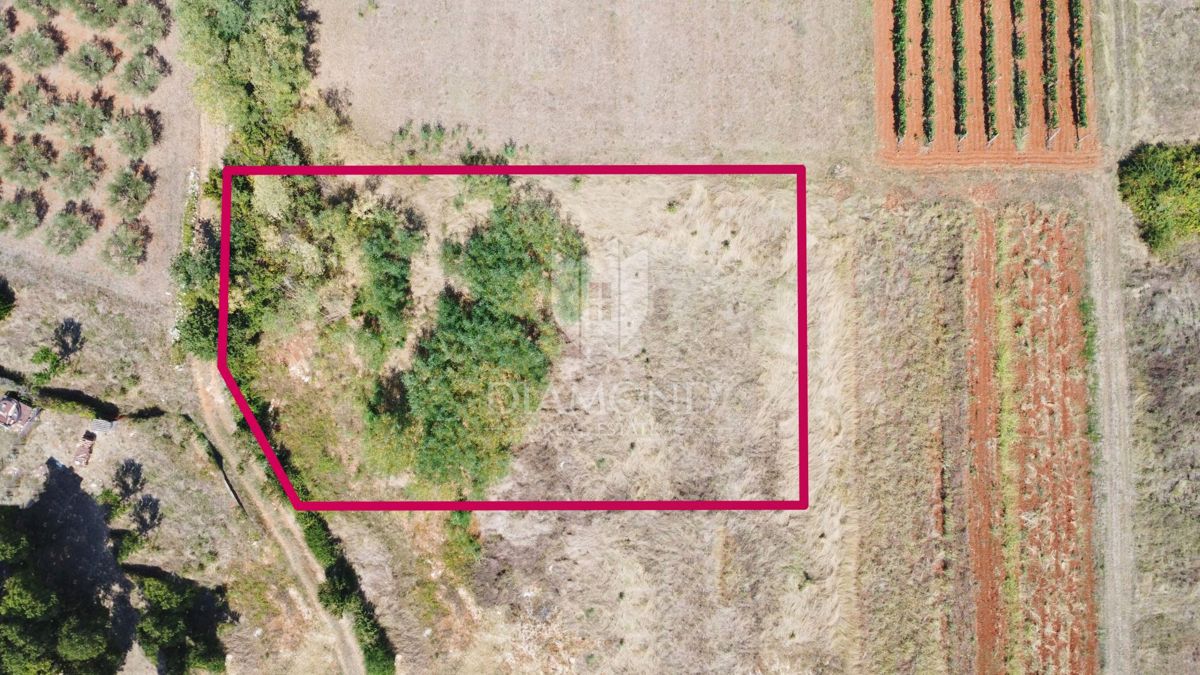 Parenzo, dintorni – ampio terreno ai margini solo 6km dal mare