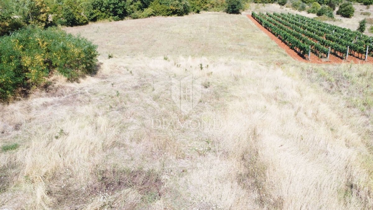 Parenzo, dintorni – ampio terreno ai margini solo 6km dal mare