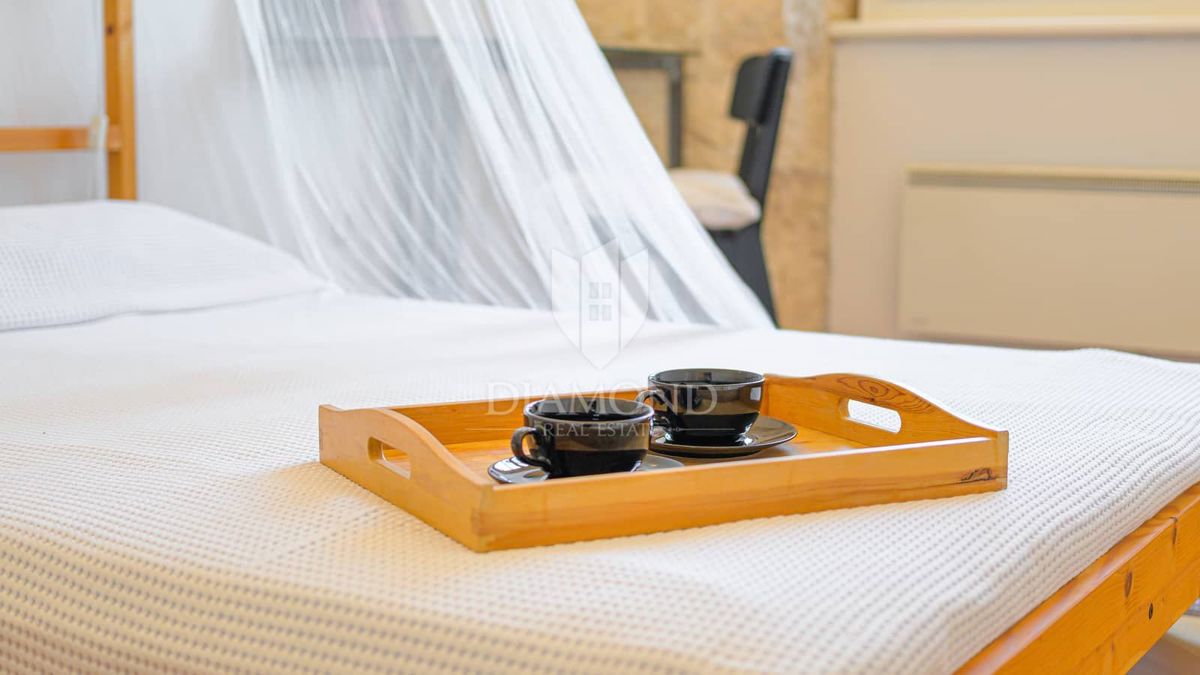 OCCASIONE! Appartamento nel Cuore di Svetvinčenat