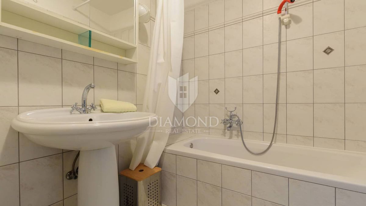 OCCASIONE! Appartamento nel Cuore di Svetvinčenat