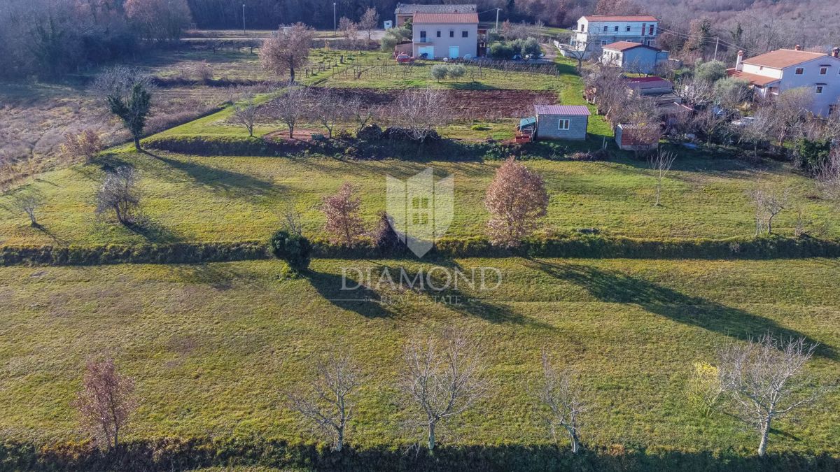 Montona, dintorni, terreno edificabile per la vostra casa!