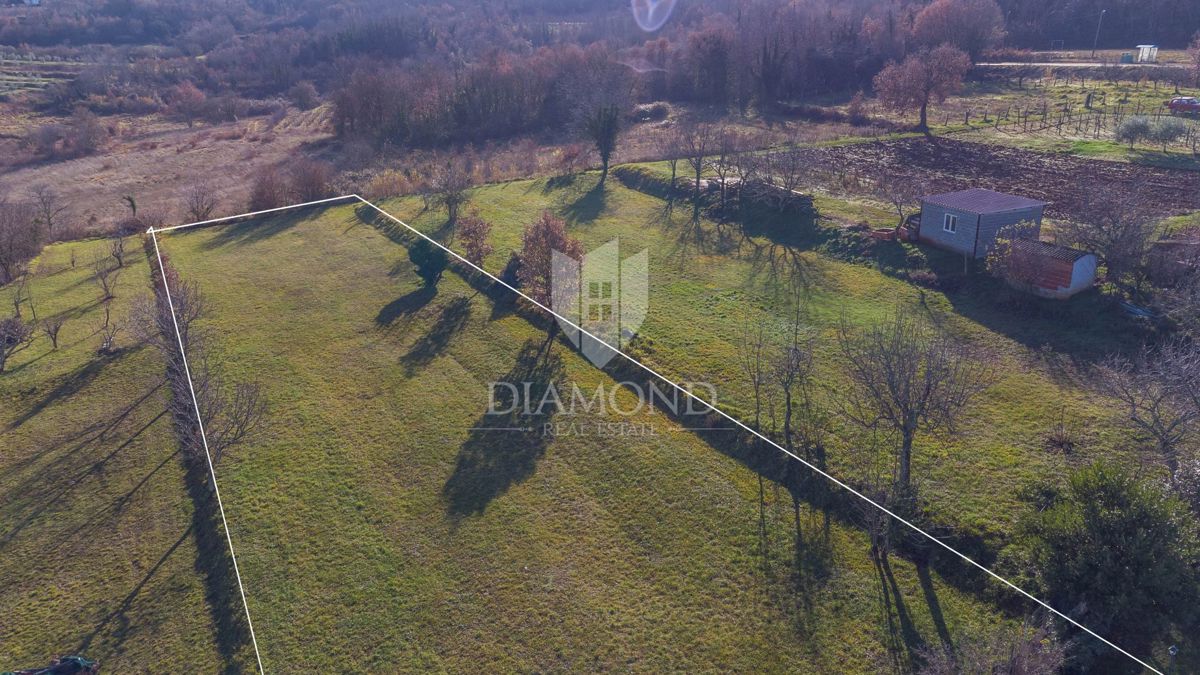 Montona, dintorni, terreno edificabile per la vostra casa!