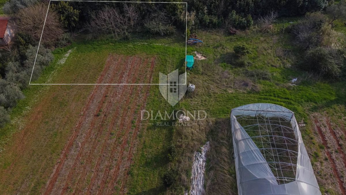 Umag, dintorni, terreno in posizione fantastica!