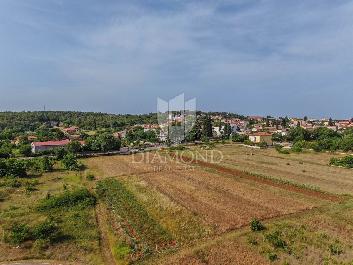 Rovigno, dintorni, terreno edificabile nella zona degli affari