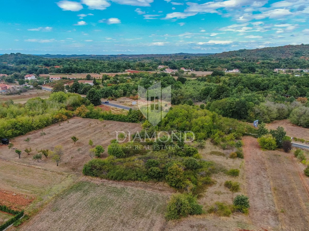 Rovigno, dintorni, terreno nella zona degli affari