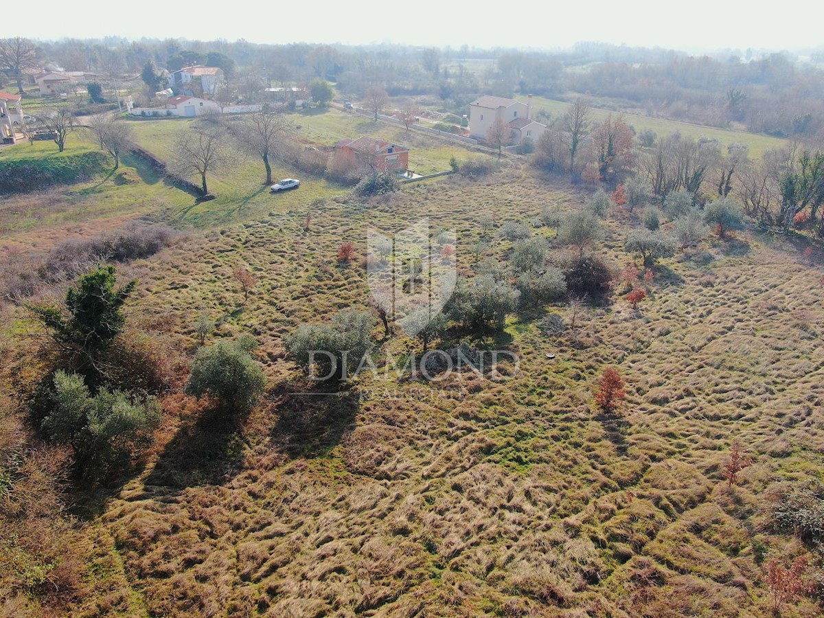 Barban, dintorni, terreno edificabile in buona posizione