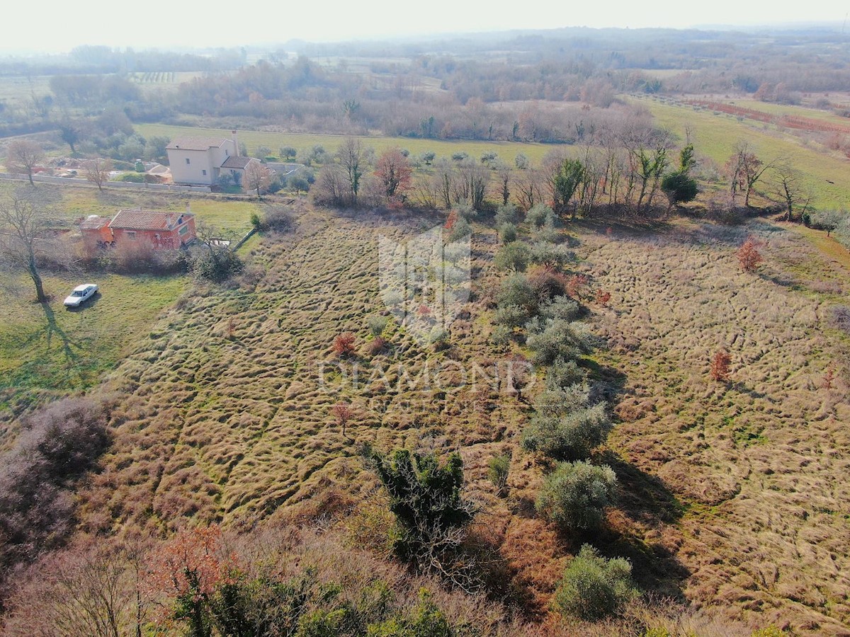 Barban, dintorni, terreno edificabile in buona posizione