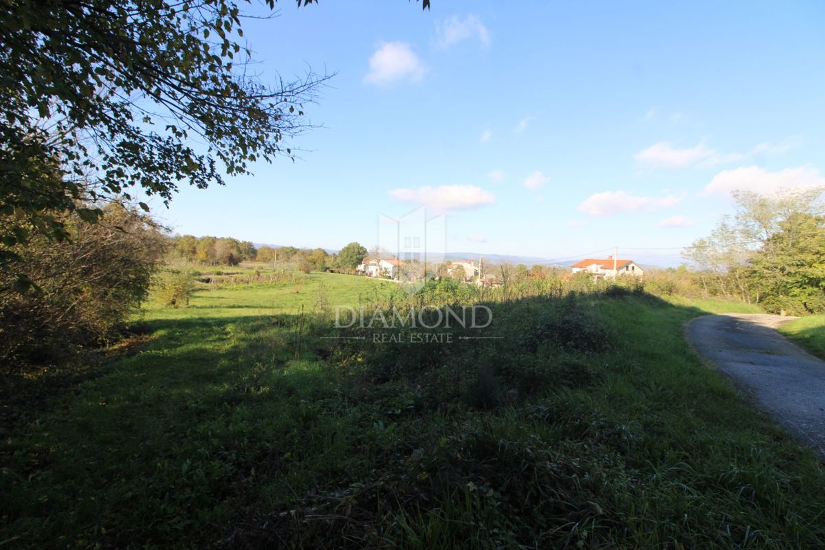 Labin, dintorni, terreno con progetto e permesso di costruzione