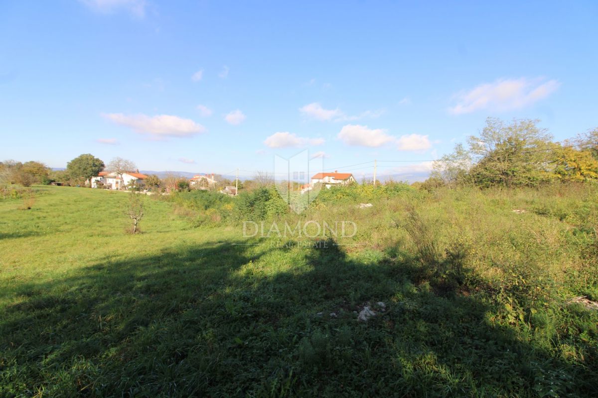 Labin, dintorni, terreno con progetto e permesso di costruzione