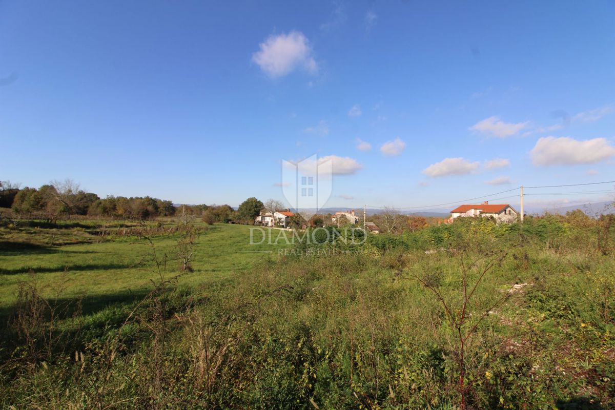 Labin, dintorni, terreno con progetto e permesso di costruzione