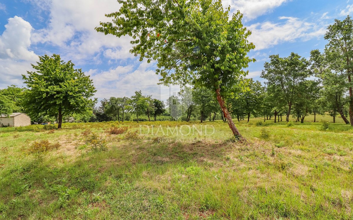 Parenzo, dintorni, terreno edificabile per costruire una casa!