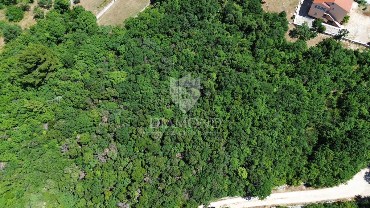 Albona, dintorni, terreno edificabile vicino al mare