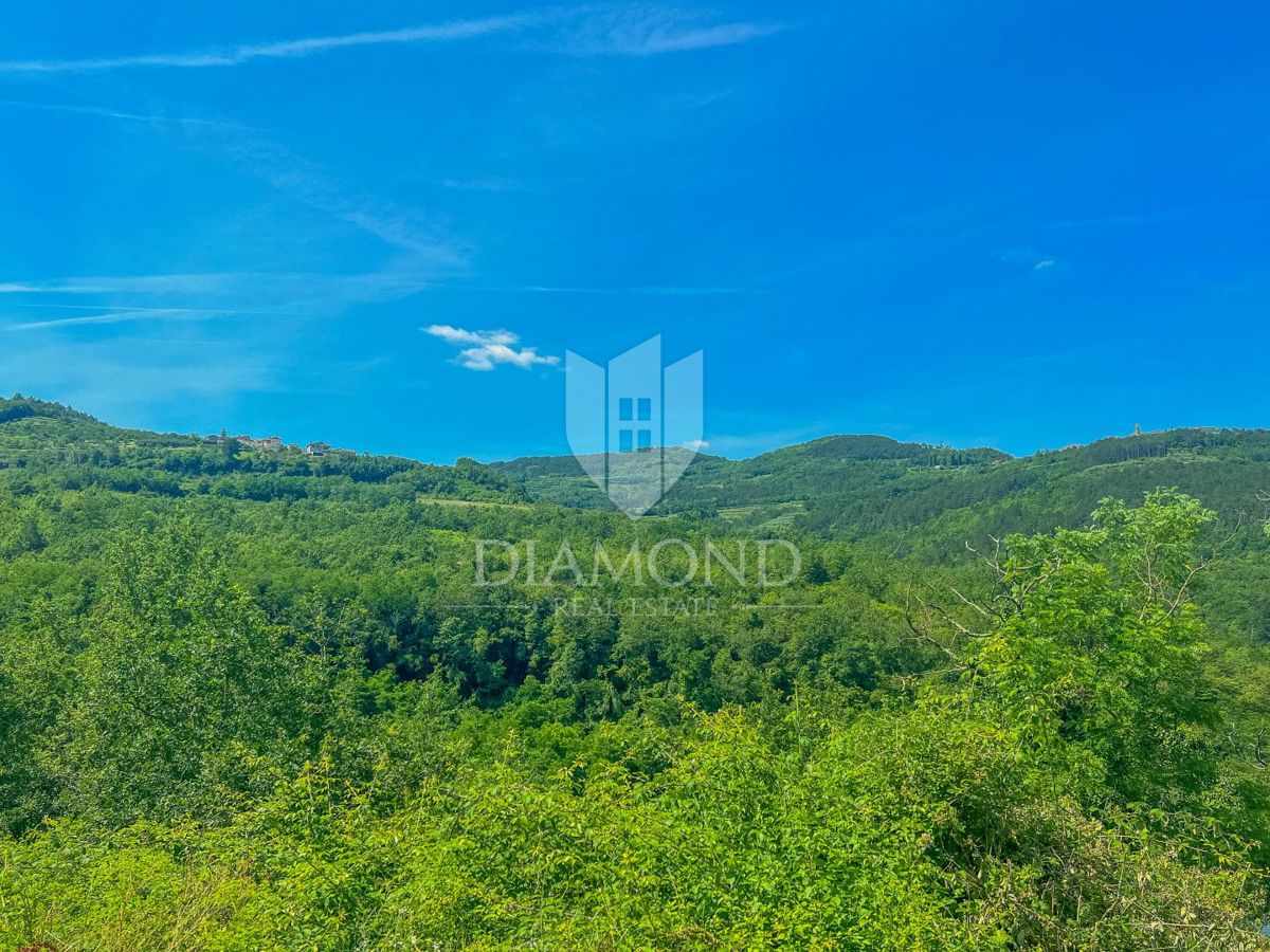 Zona Montona, casa per adattamento immersa nella natura