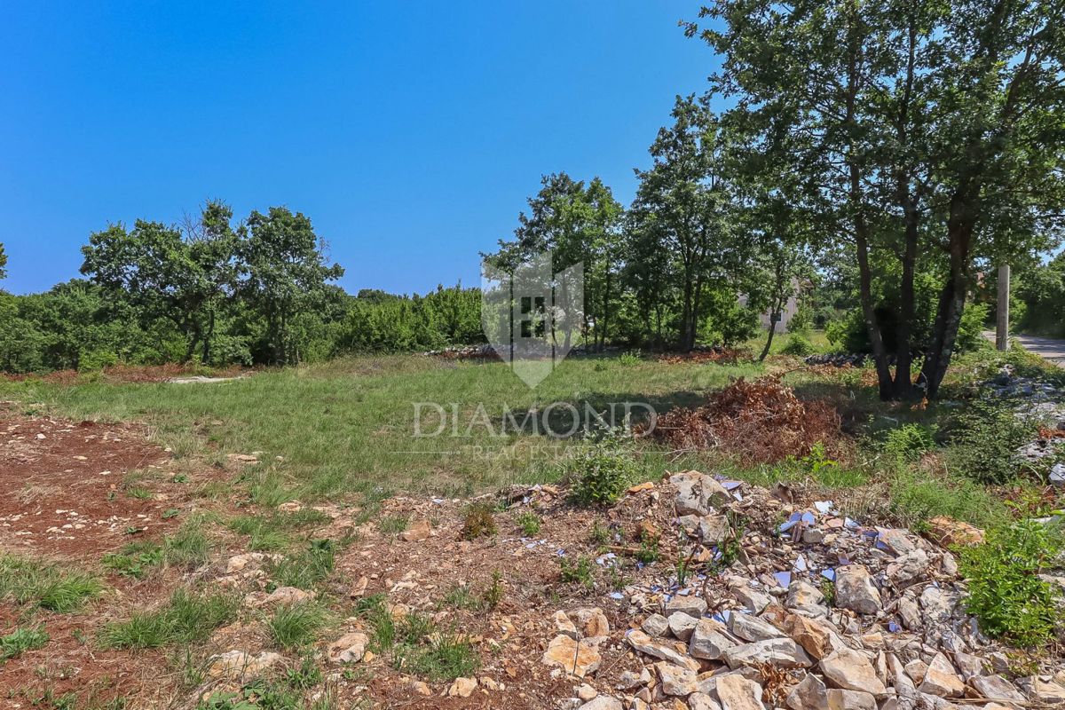 Svetvinčenat, dintorni, terreno adatto a diversi progetti