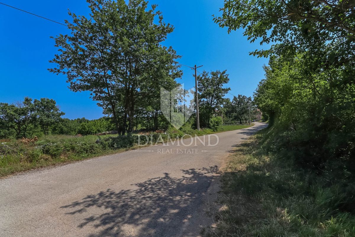 Svetvinčenat, dintorni, terreno adatto a diversi progetti