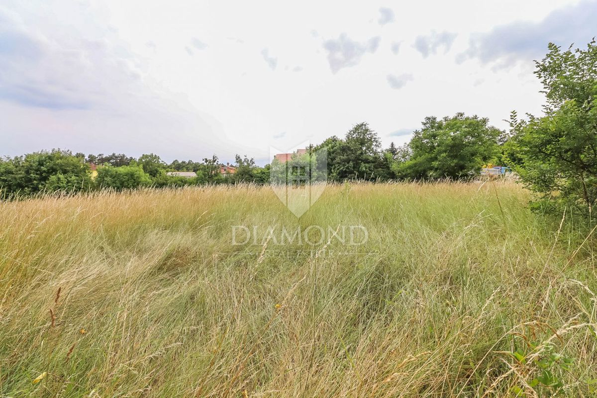 Ampio terreno vicino a Gimino - Ideale per investimento!