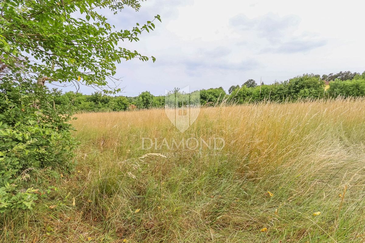 Ampio terreno vicino a Gimino - Ideale per investimento!