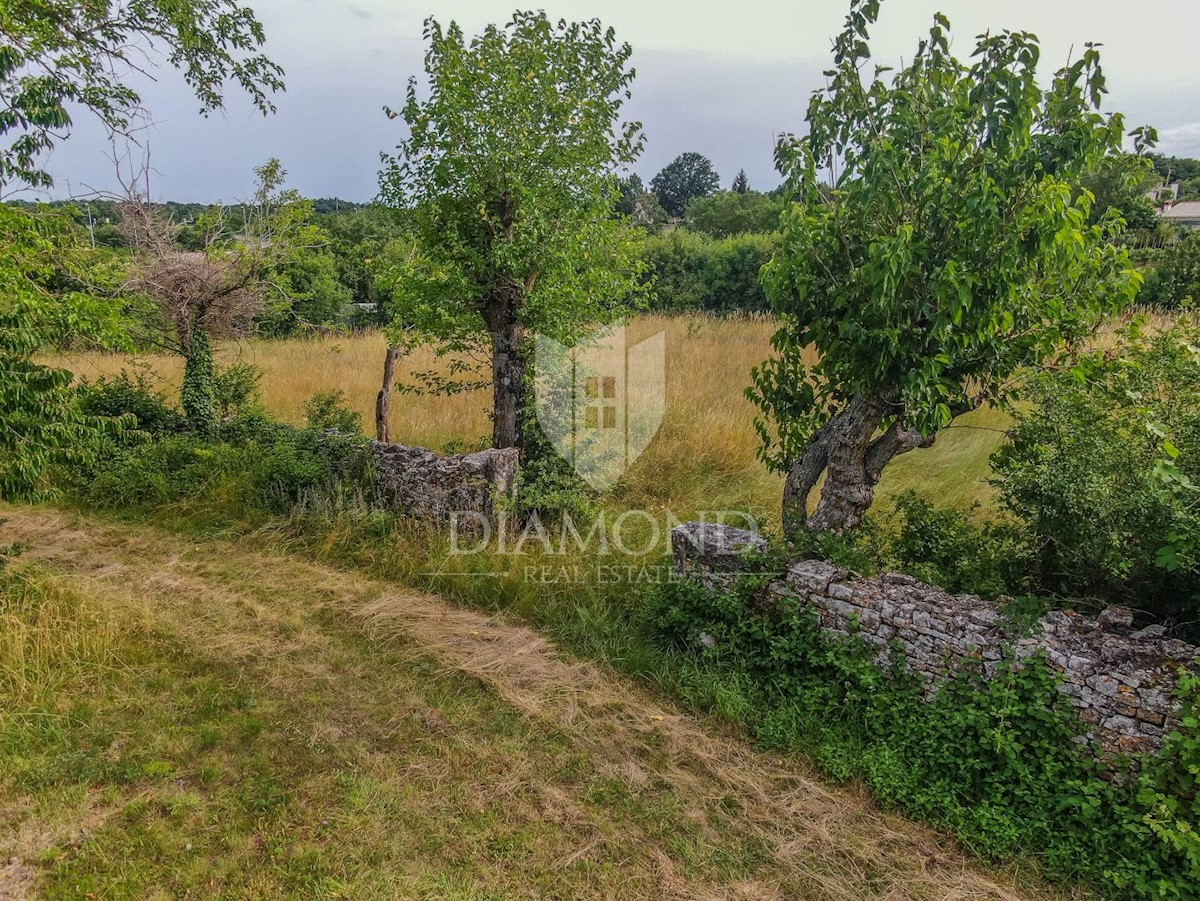 Ampio terreno vicino a Gimino - Ideale per investimento!