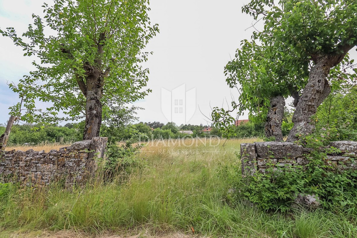 Ampio terreno vicino a Gimino - Ideale per investimento!