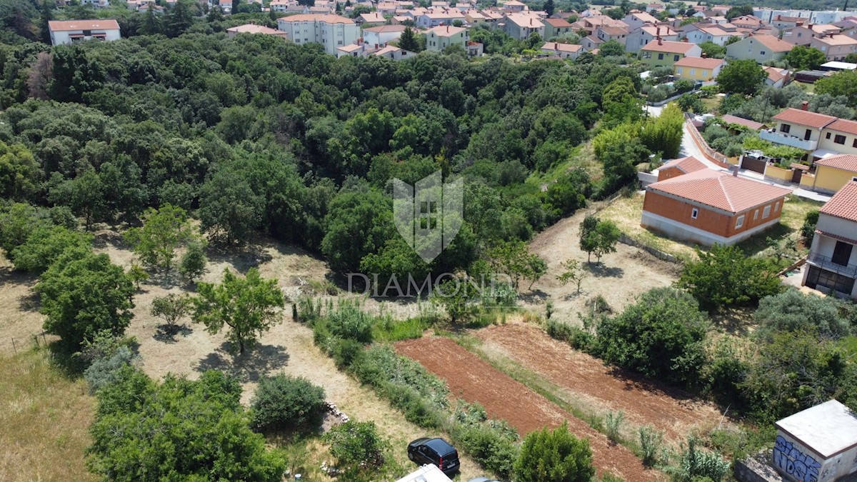 Pola, terra in una posizione ideale