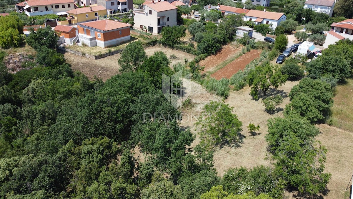 Pola, terra in una posizione ideale