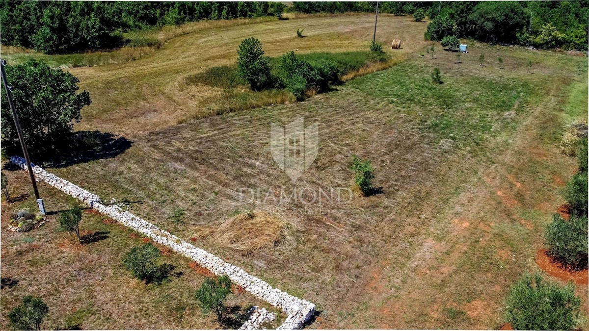 Terreno edificabile in un ambiente idilliaco