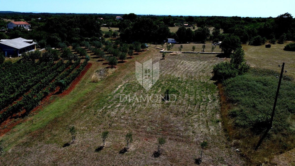 Terreno edificabile in un ambiente idilliaco