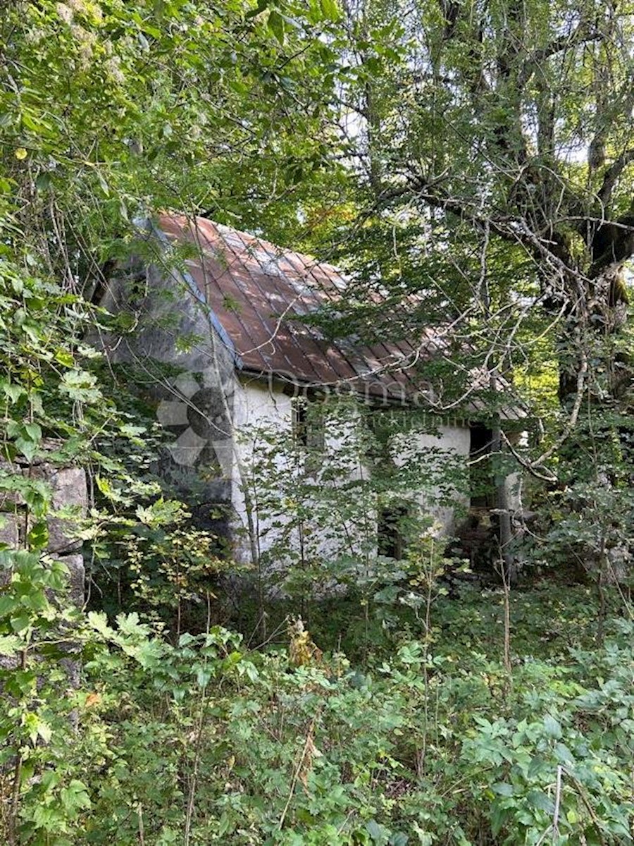 Terreno Baške Oštarije, Karlobag, 22.000m2